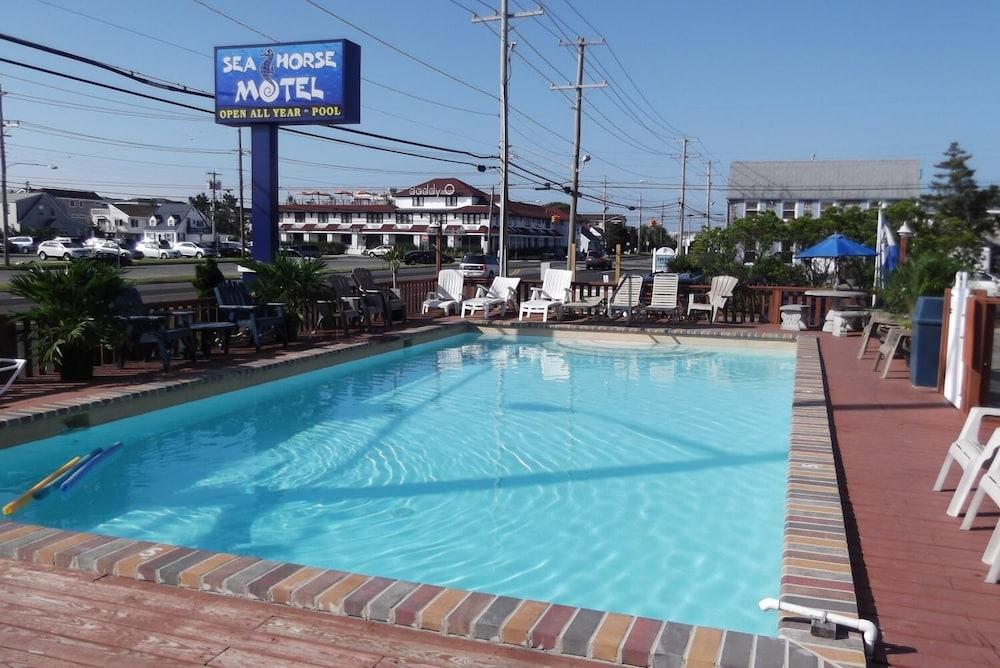 Sea Horse Motel photo 7