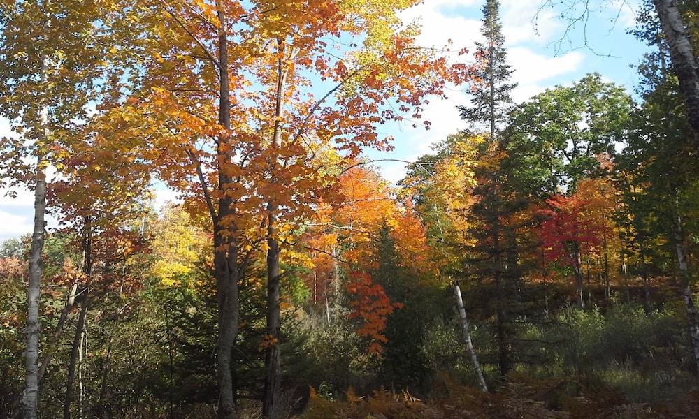 Chicaugon Lake Inn photo 19