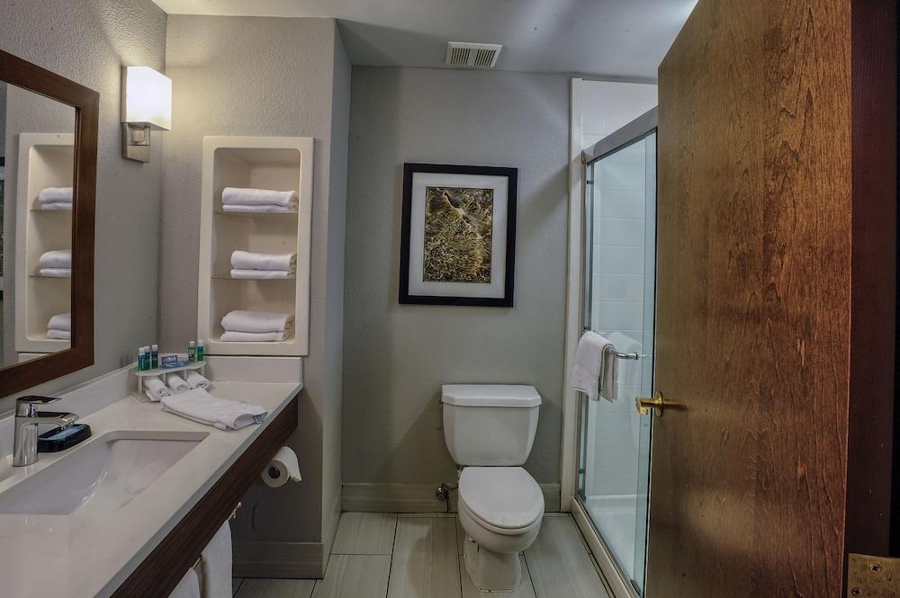Holiday Inn Express Hotel & Suites Pell City by IHG photo 11