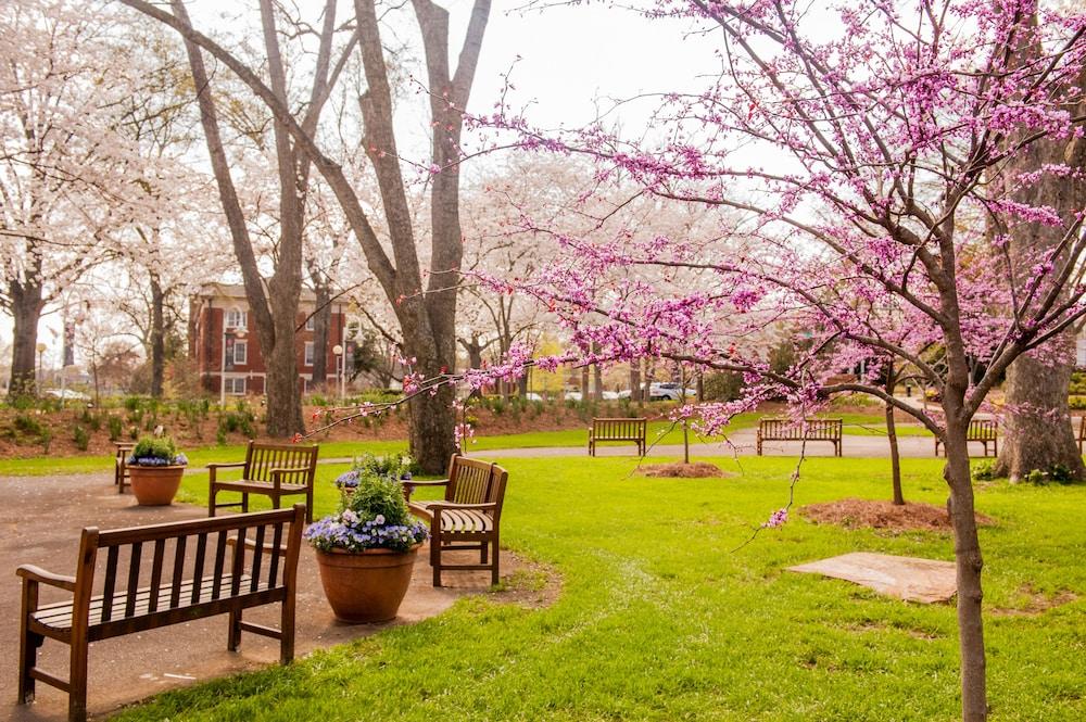 The University of Georgia Center for Continuing Education & Hotel photo 23