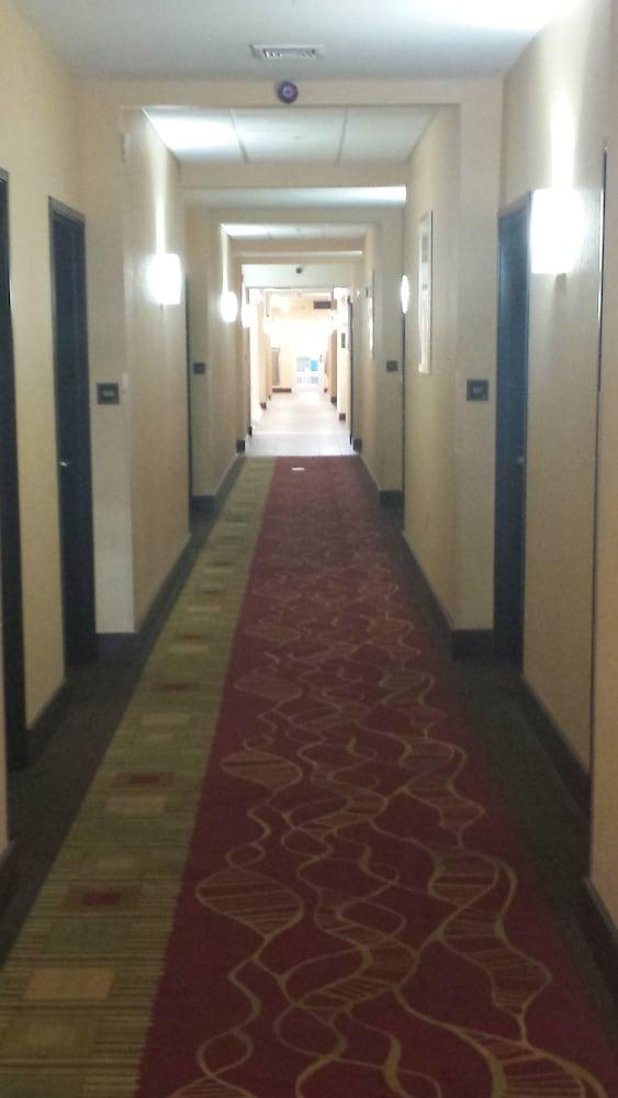 Paradise Inn & Suites photo 11
