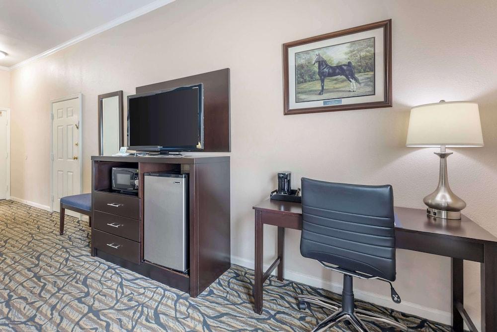 Best Western Spring Hill Inn & Suites photo 16