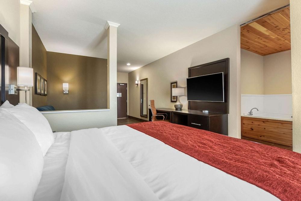 Comfort Inn & Suites Cedar Rapids CID Eastern Iowa Airport photo 2