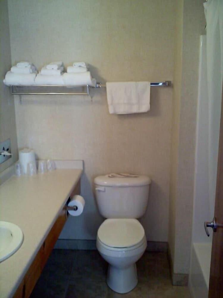 Carriage House Motor Inn photo 12
