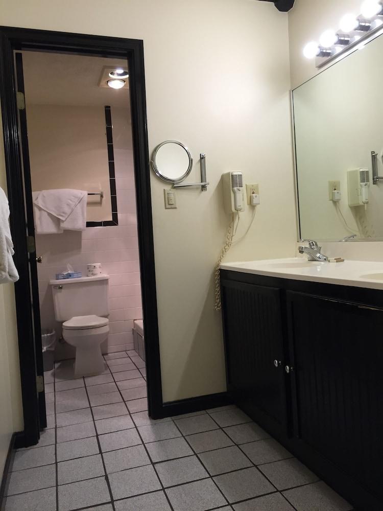 Wildwood Inn Tropical Dome & Theme Suites photo 44