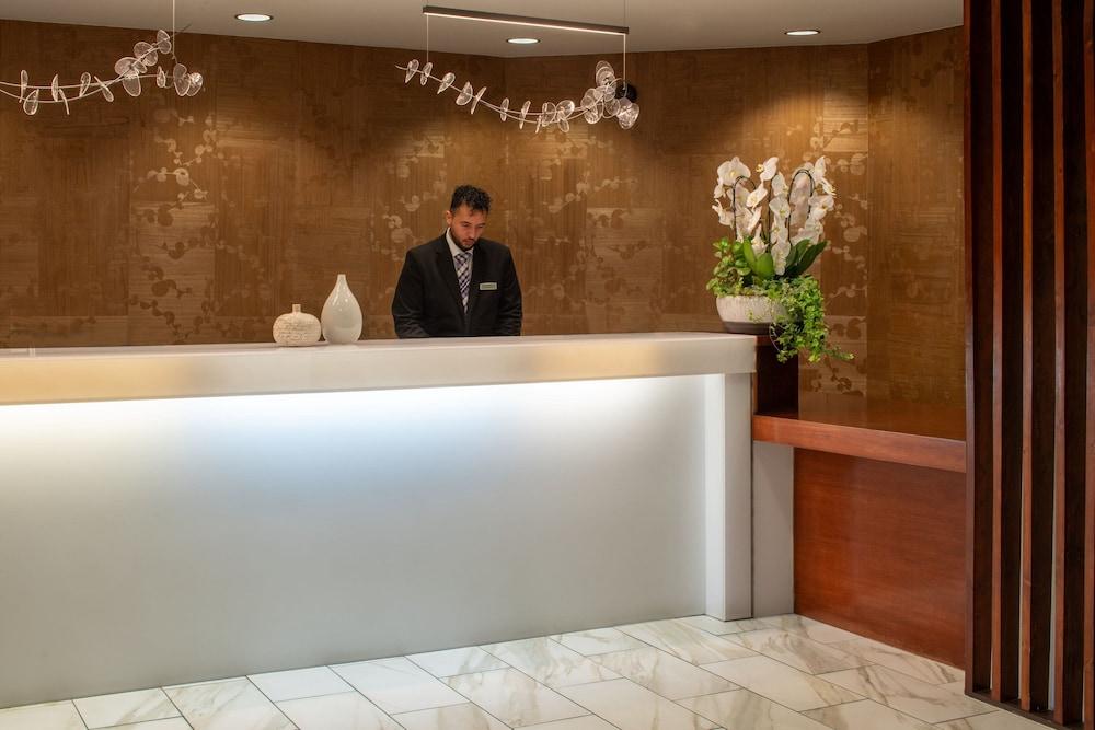 SpringHill Suites by Marriott Convention Center/I-drive photo 4