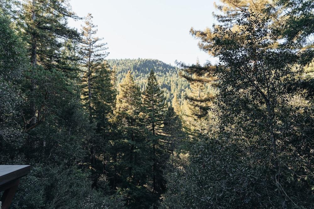 Redwoods River Resort photo 59