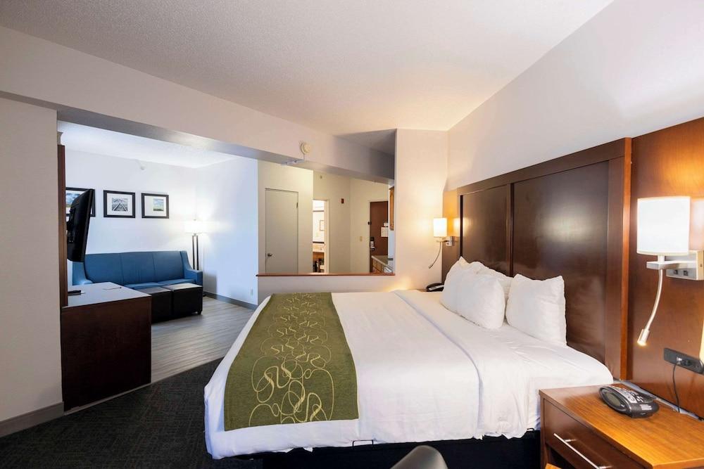 Comfort Suites Springfield I-70 photo 51