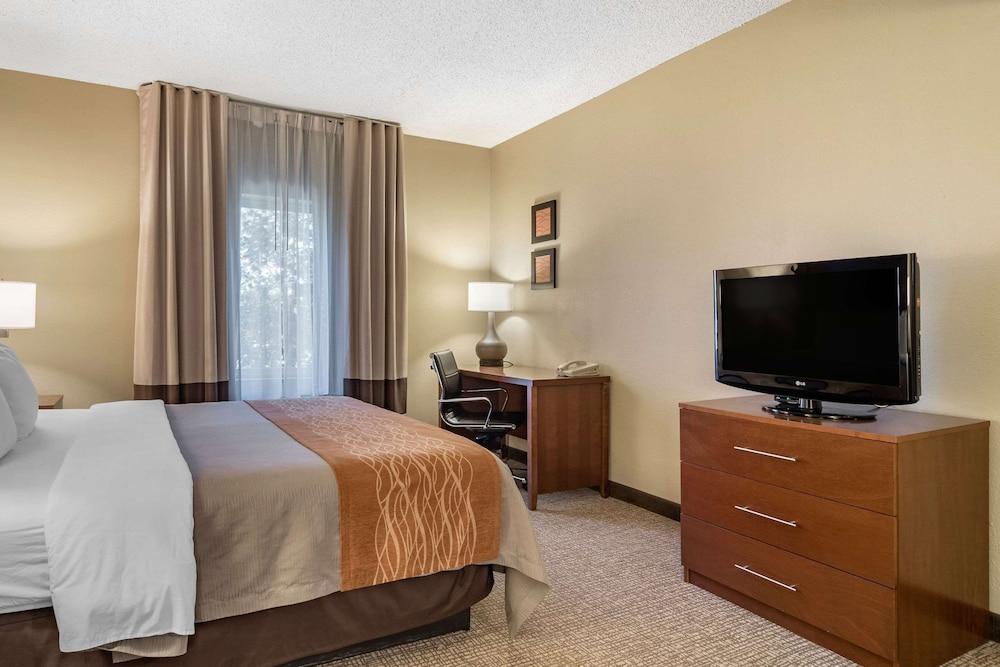 Comfort Inn & Suites Suwanee - Sugarloaf photo 5