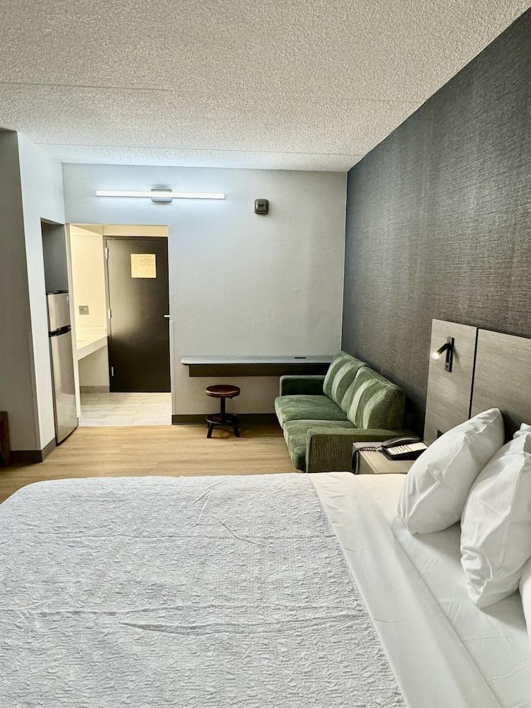 The Wexford Hotel photo 7
