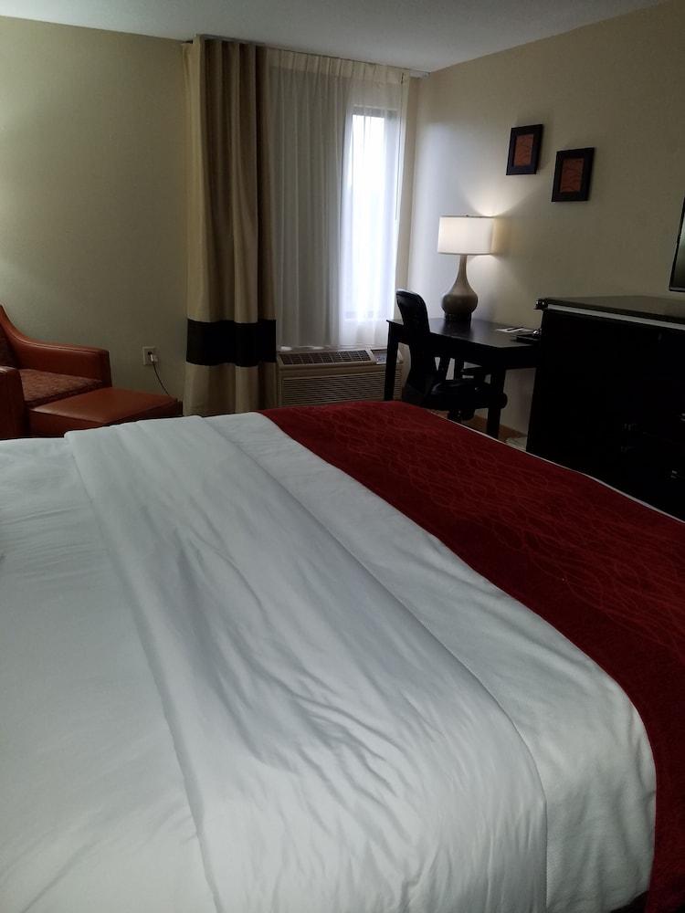 Comfort Inn North of Asheville photo 16