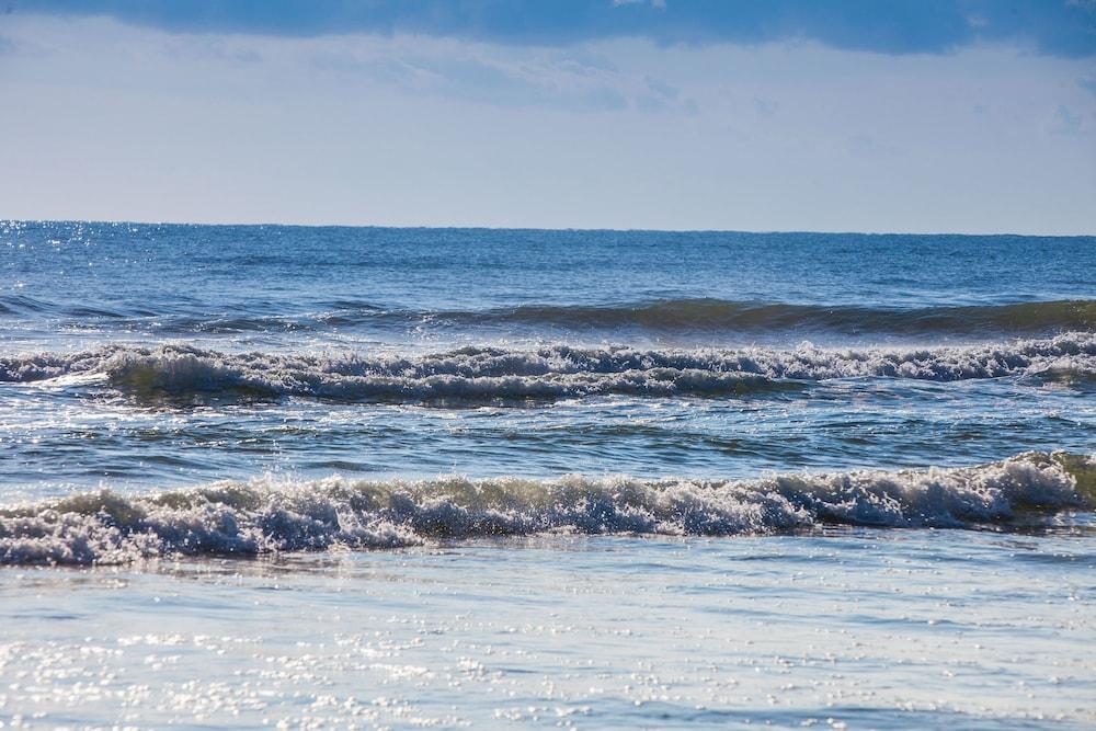 The Salty Mermaid Oceanfront Hotel photo 5