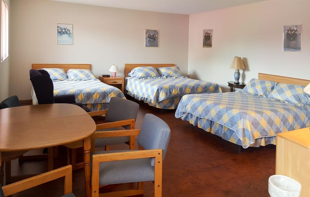 Alpine Motel photo 16