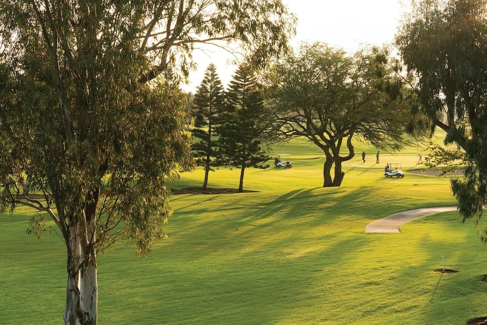 Paniolo Greens At Waikoloa photo 61