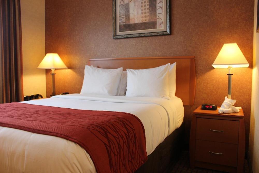 Bellerose Inn photo 18