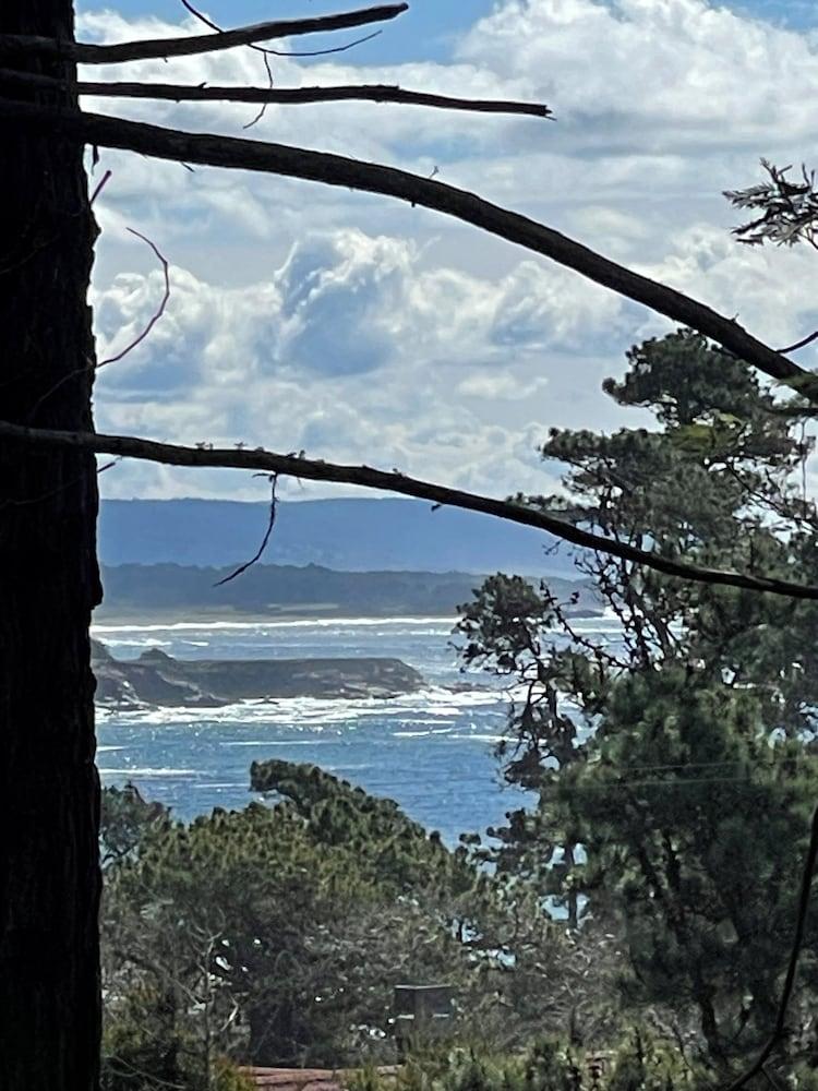 Rendezvous Mendocino photo 60