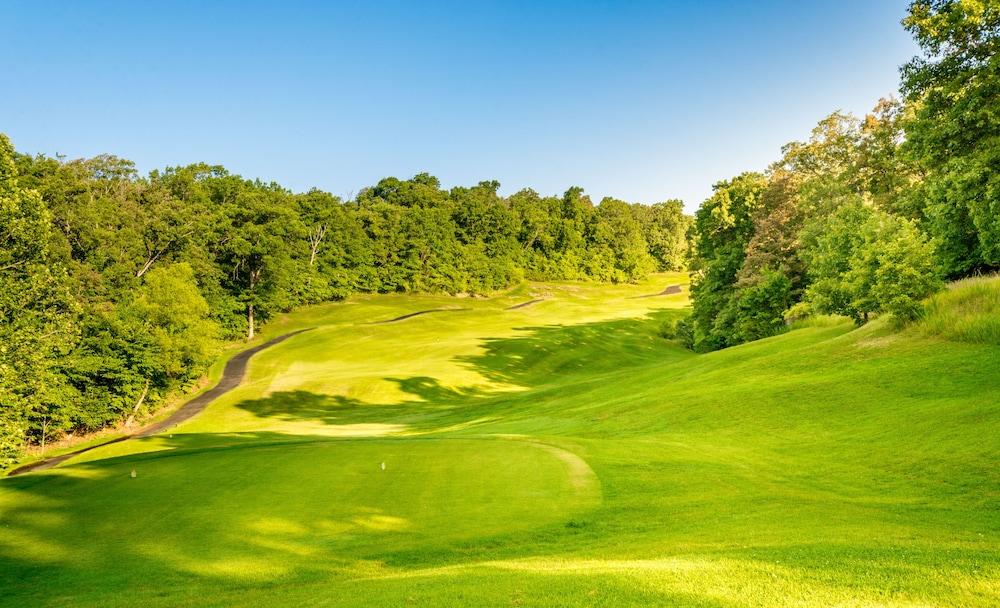 Lodge Of Four Seasons Golf Resort, Marina & Spa photo 8