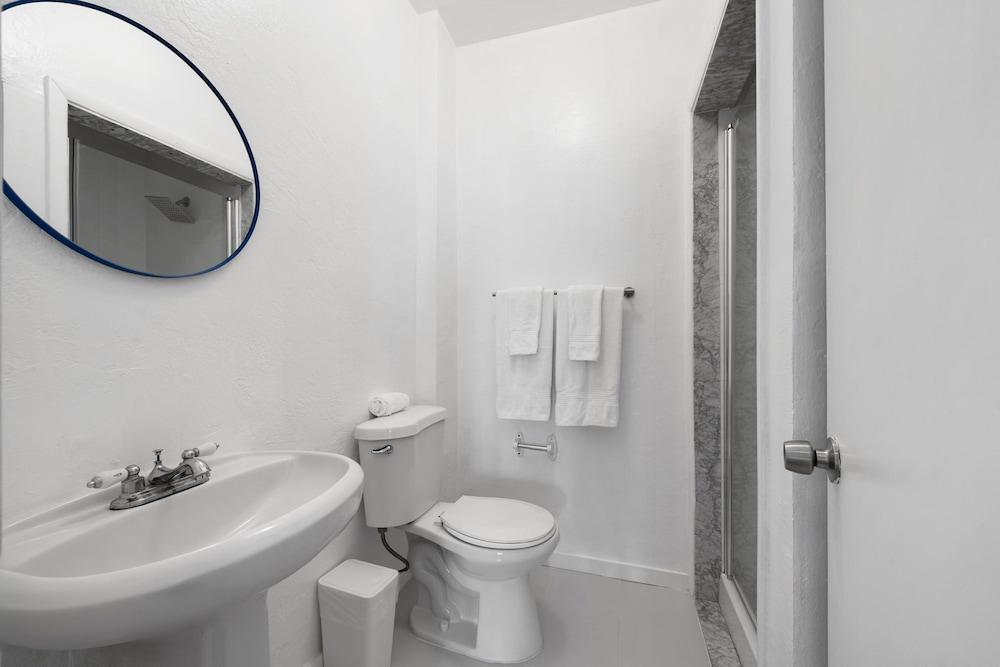 Blue Flamingo Suites photo 35