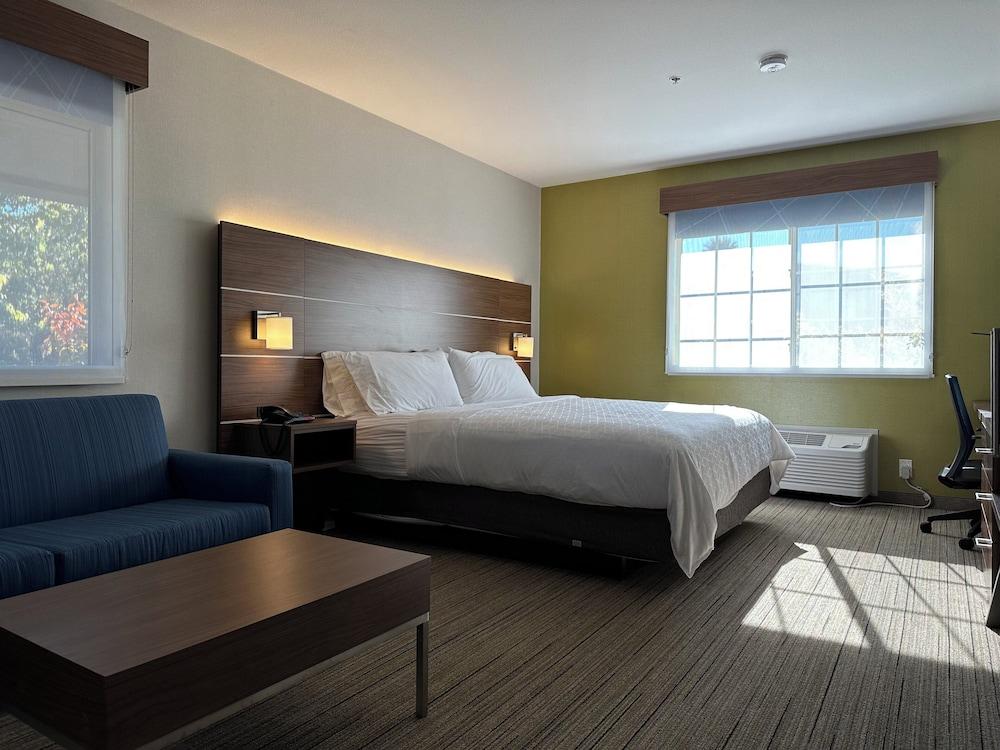 Holiday Inn Express & Suites Mountain View Silicon Valley by IHG photo 7
