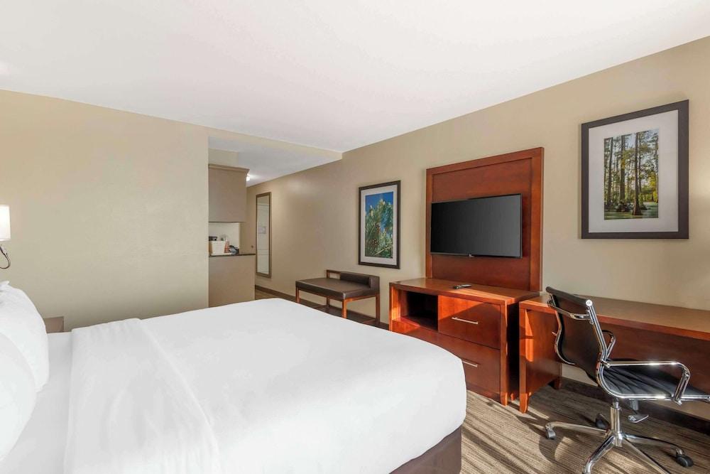 Comfort Inn & Suites Tifton photo 10