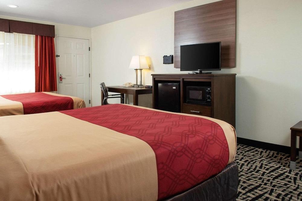 Executive Inn photo 21