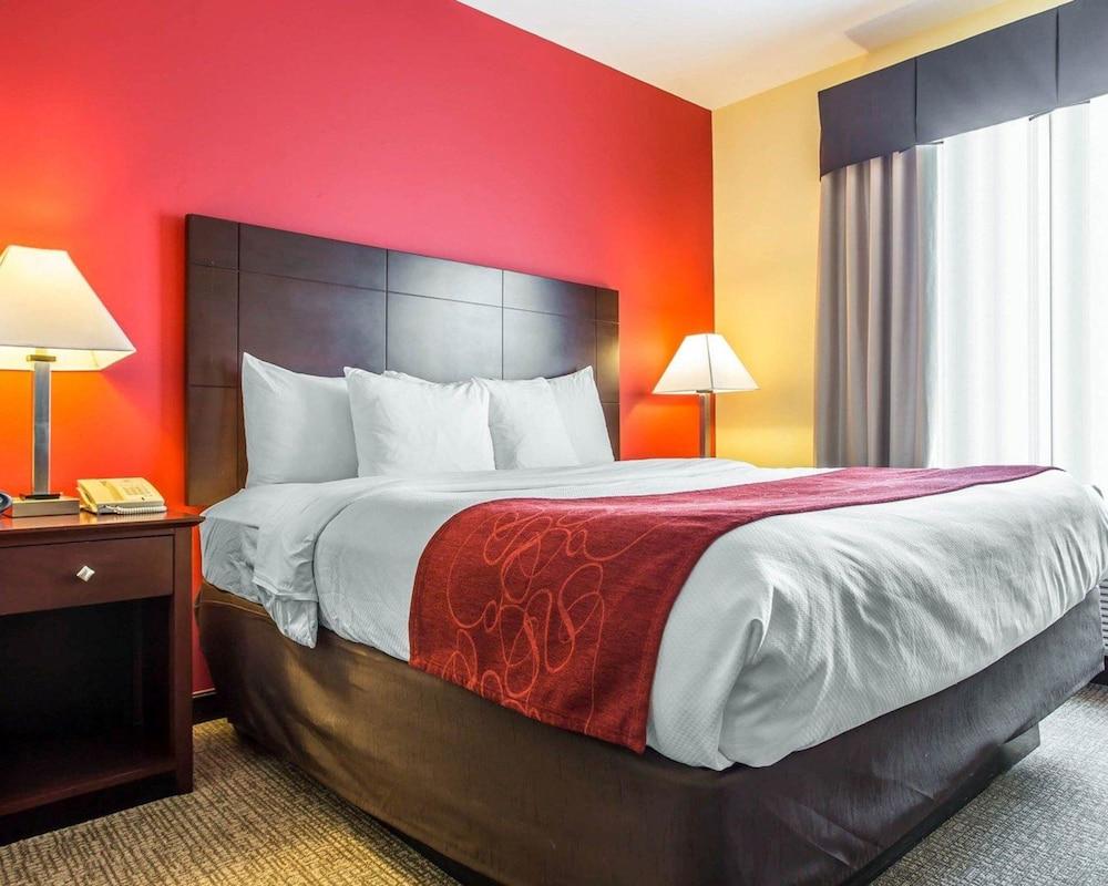 Comfort Suites Rock Hill Manchester Meadows Area photo 9