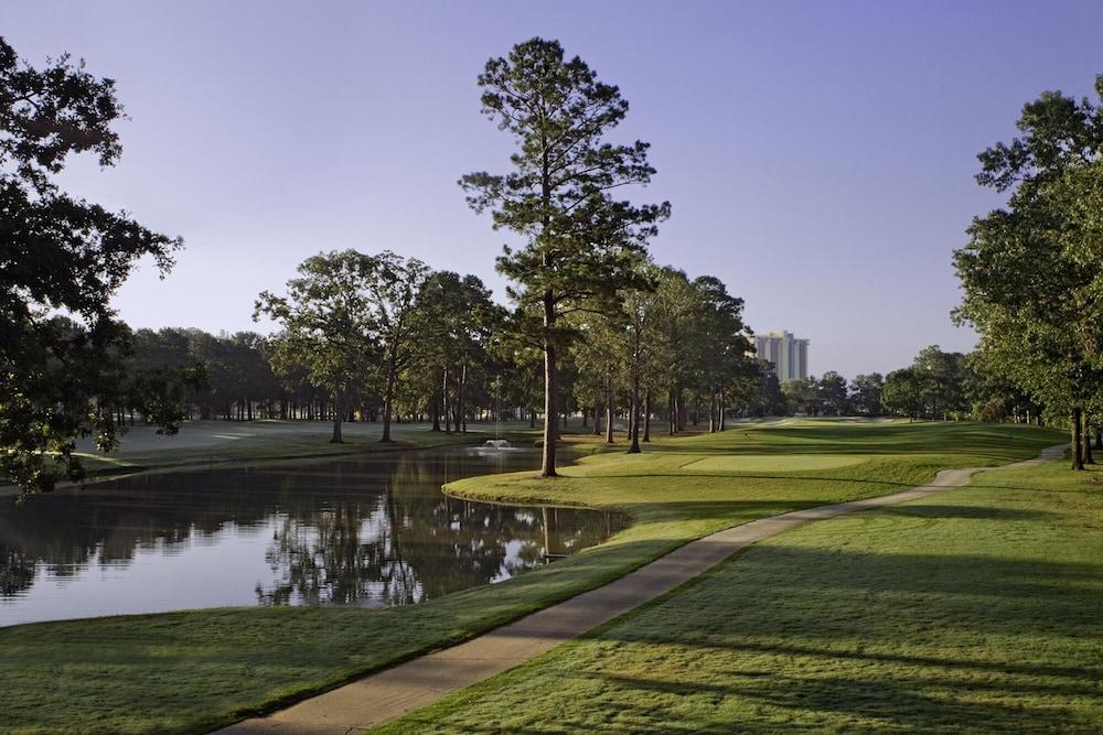 Margaritaville Lake Resort, Lake Conroe/Houston photo 62