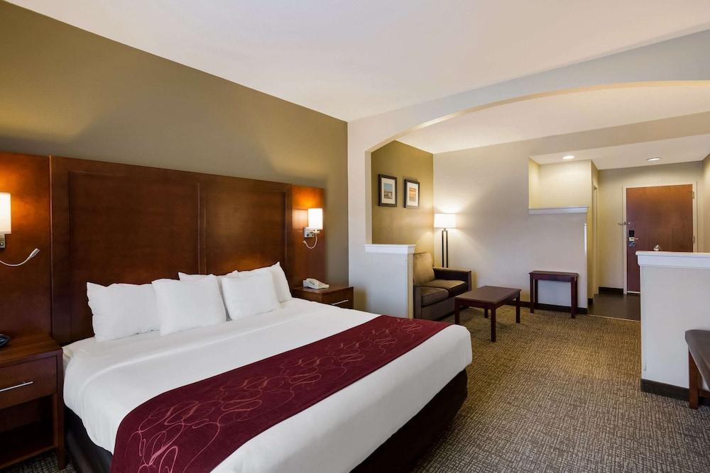 Comfort Suites Near University photo 48