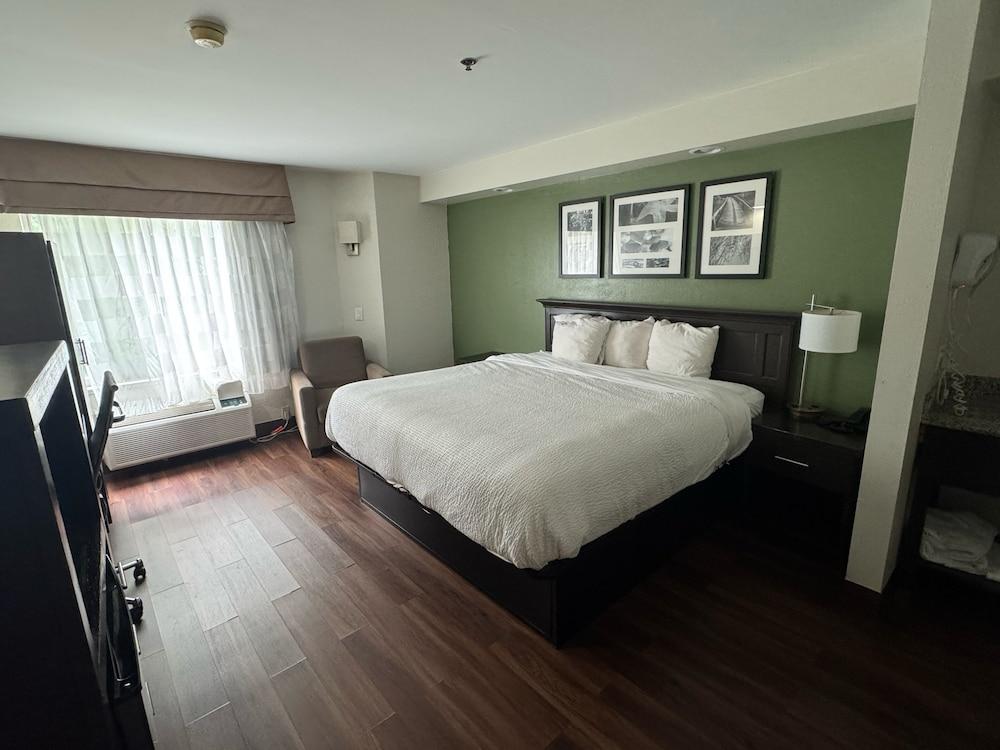 Broad St Inn photo 7