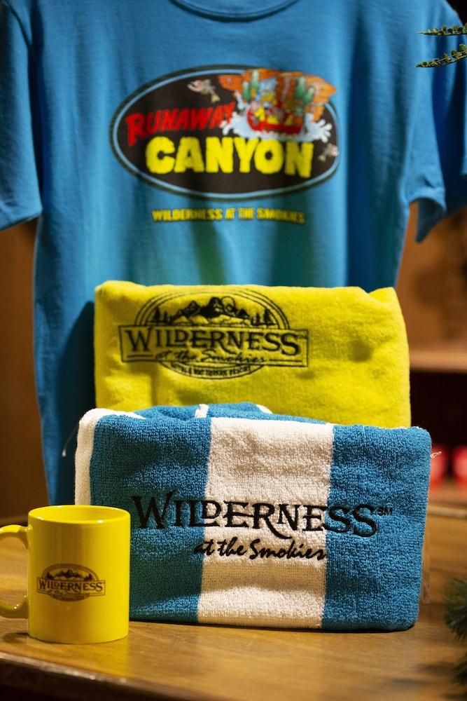 Wilderness at the Smokies - Stone Hill Lodge photo 14