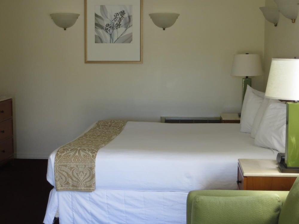 The Central Motel photo 10