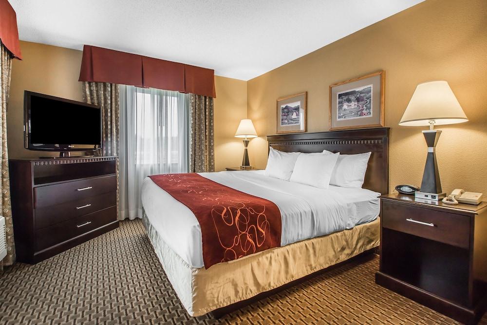 Comfort Suites Wisconsin Dells Area photo 18