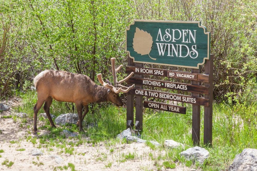 Aspen Winds on Fall River photo 15