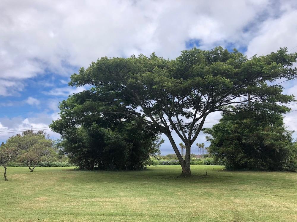 Puakea Ranch photo 55