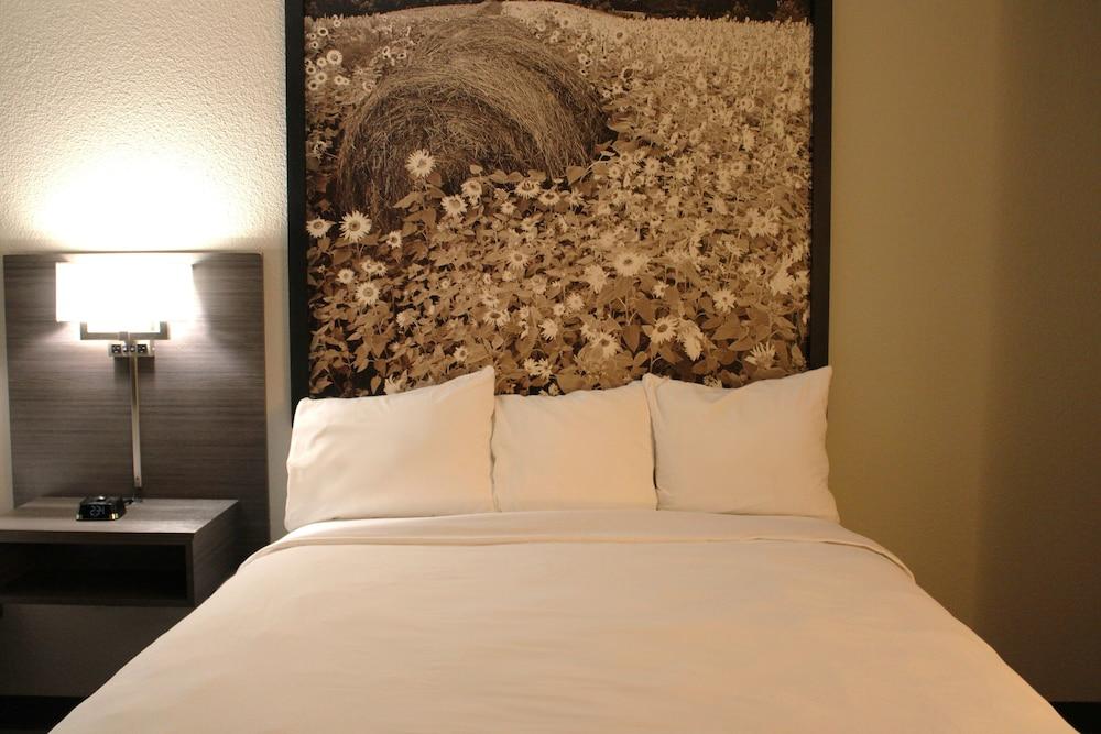 Boarders Inn & Suites photo 24