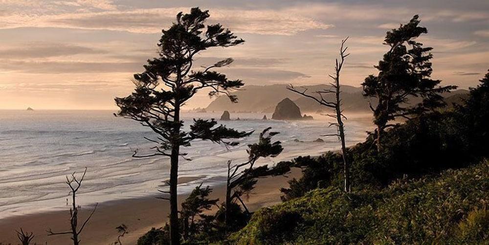 Sea Sprite at Haystack Rock photo 60
