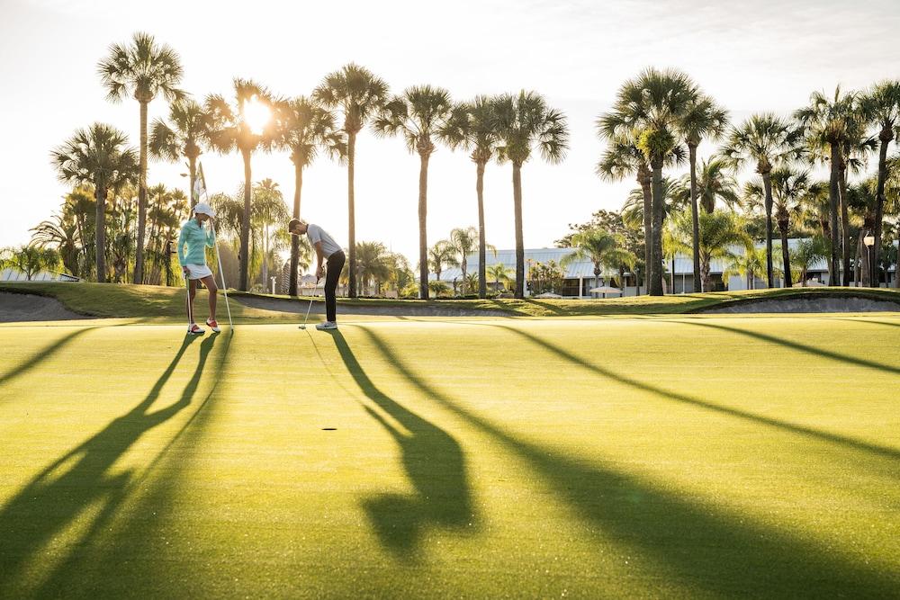 Saddlebrook Resort photo 35