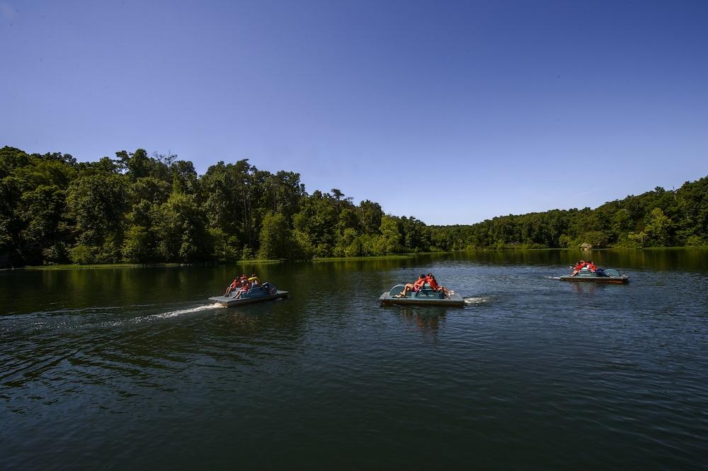 Pennyrile Forest State Resort Park photo 29