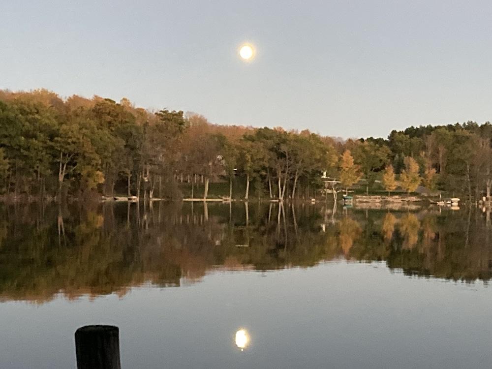 Dixon Lake Resort photo 34