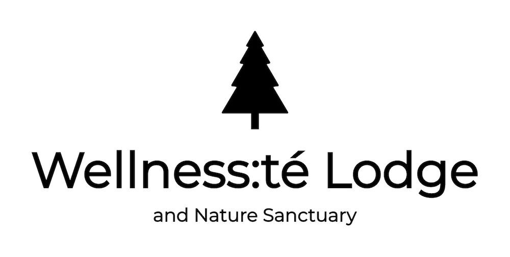 Wellnesste Lodge and Cabin Rentals photo 16