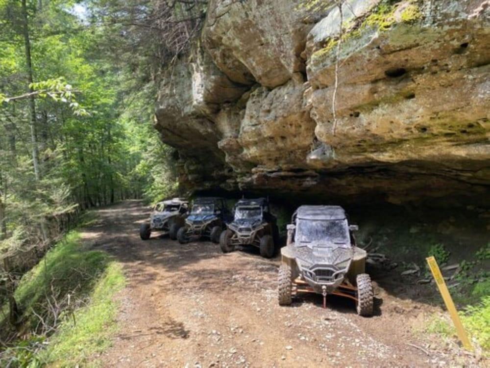 Fox Run Resort photo 7