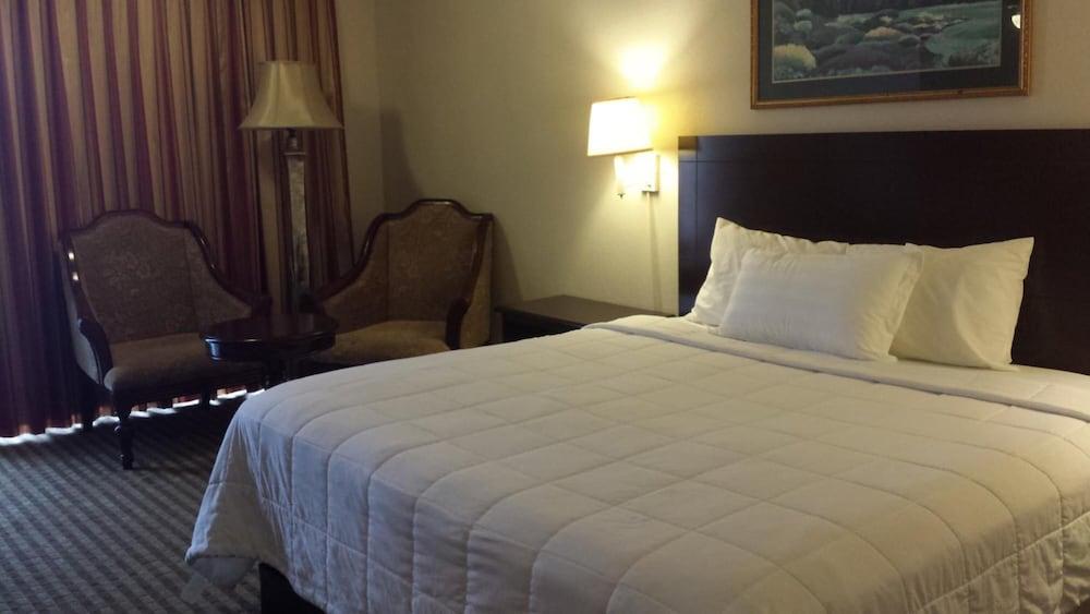 Romana Hotel photo 3