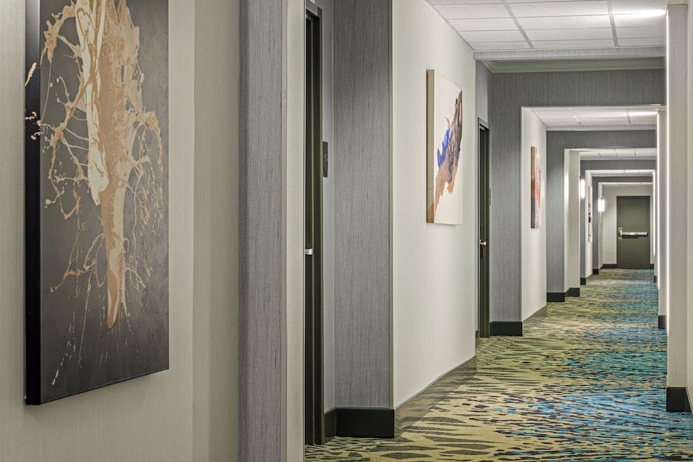 Hotel 43 photo 21