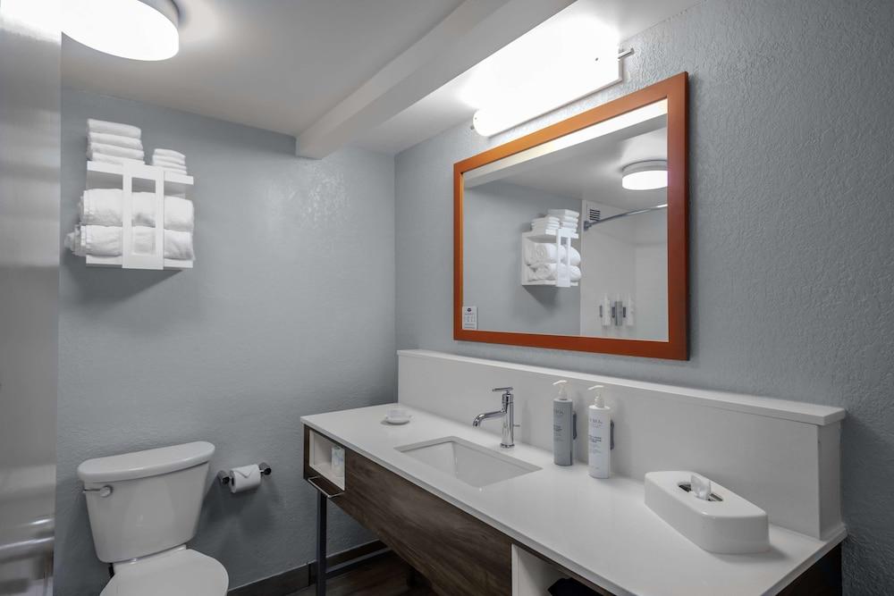 Hampton Inn Sarasota - I-75 Bee Ridge photo 16
