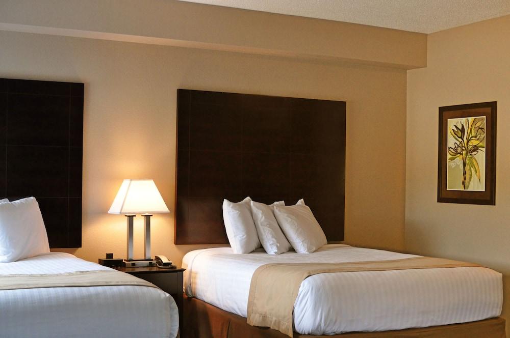 Qube Hotel photo 17
