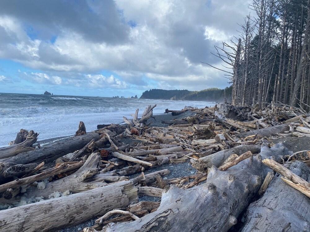 Quileute Oceanside Resort photo 31