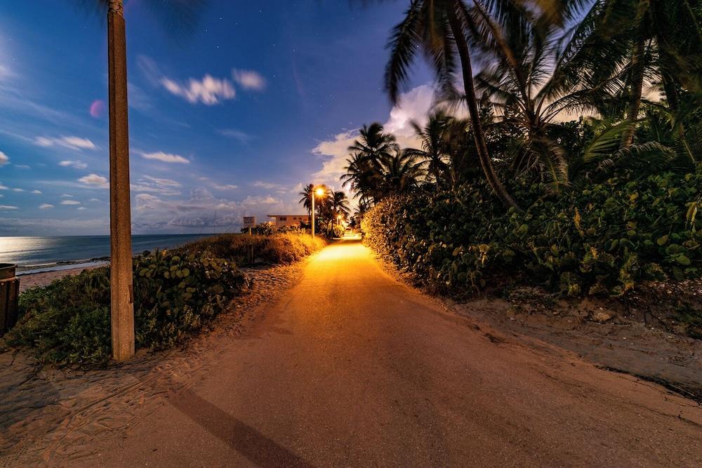 Palm By The Sea photo 14