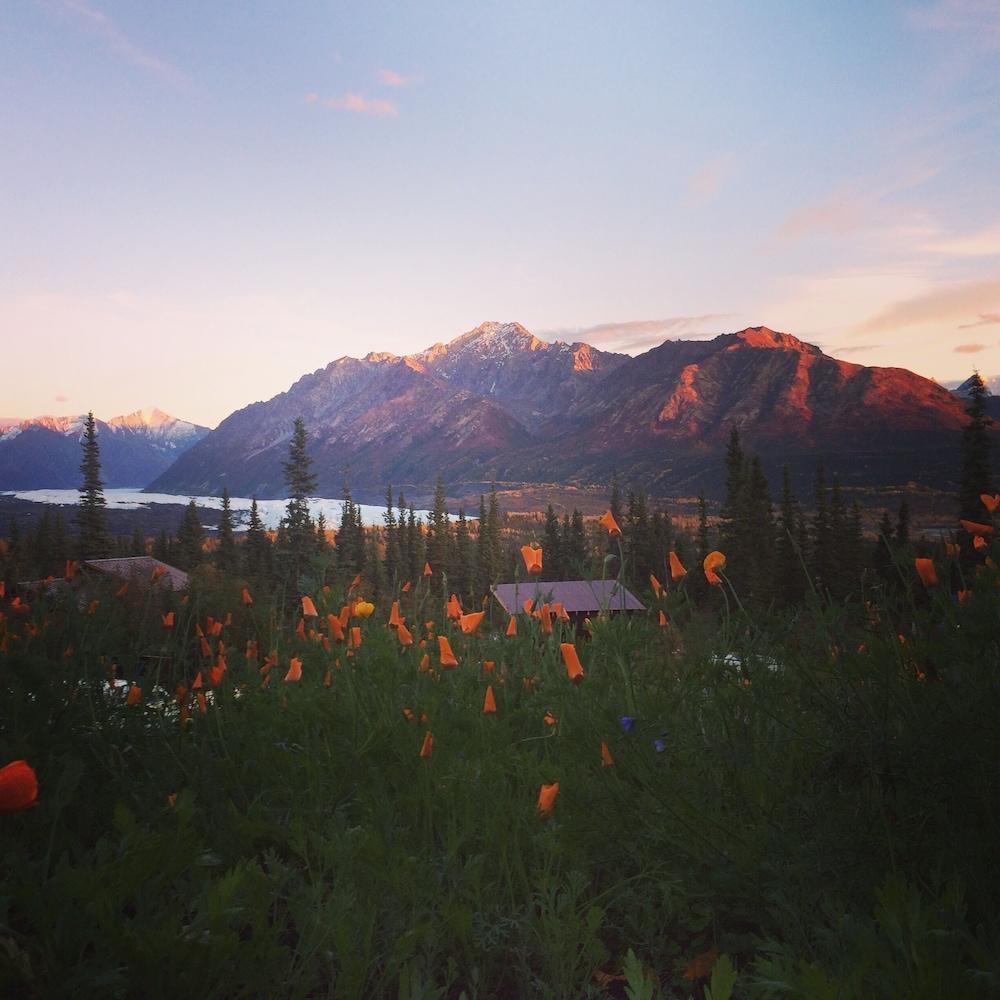 Alpenglow Luxury Camping photo 50