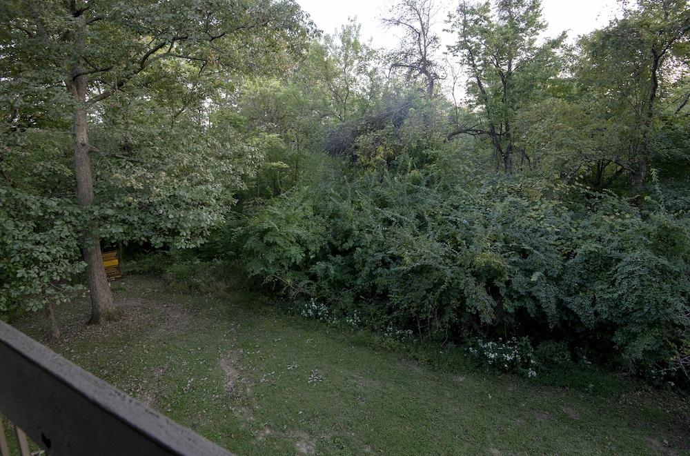 General Butler State Resort Park photo 43