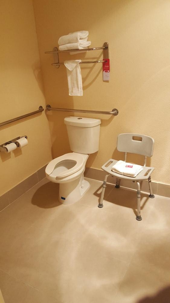 Econo Lodge Tampa near Busch Gardens photo 12